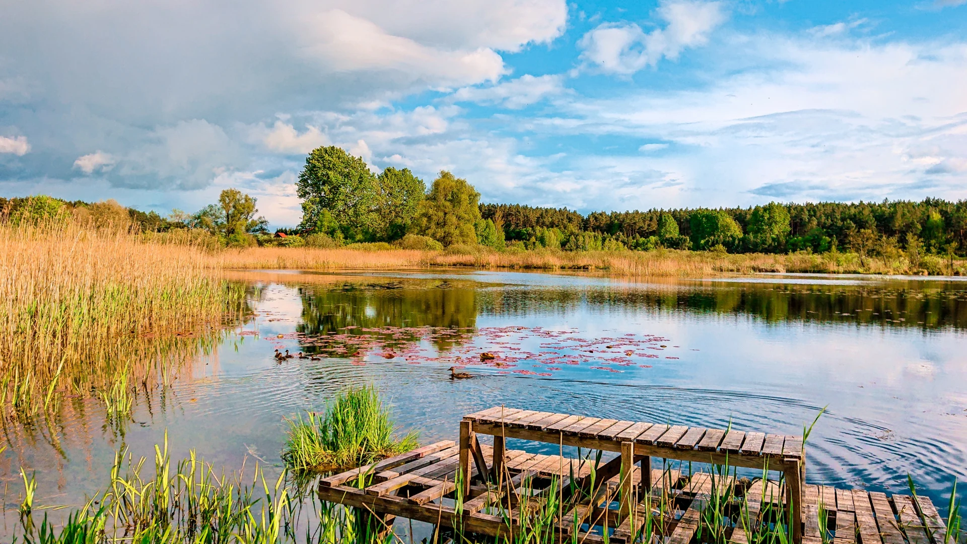 zwiedzanie Mazur samochodem
